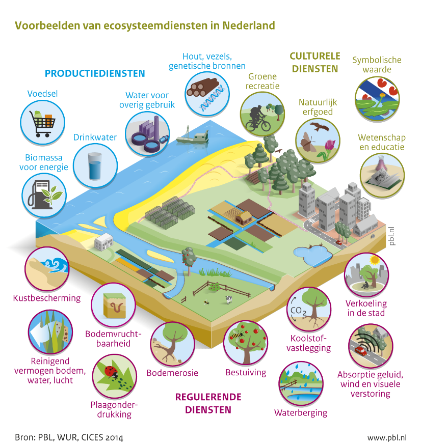 Deze afbeelding laat voorbeelden zien van ecosysteemdiensten in Nederland. Deze diensten zijn onderverdeeld in 3 categorieën, namelijk productiediensten, culturele diensten en reguliere diensten.
